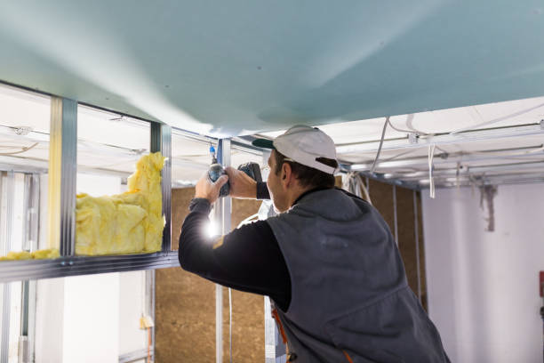 Types of Insulation We Offer in Livingston, TX