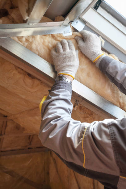 Best Cellulose Insulation in Livingston, TX