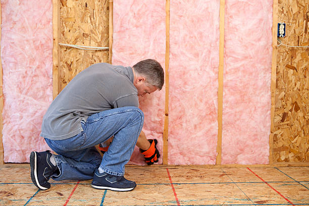 Best Energy Efficiency Insulation in Livingston, TX