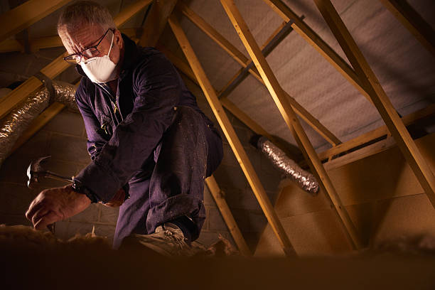 Best Spray Foam Insulation in Livingston, TX